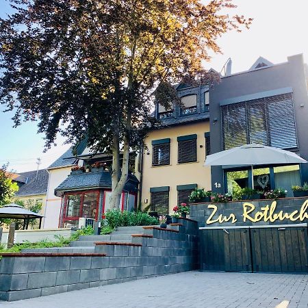 Zur Rotbuche Apartman Zeltingen-Rachtig Kültér fotó
