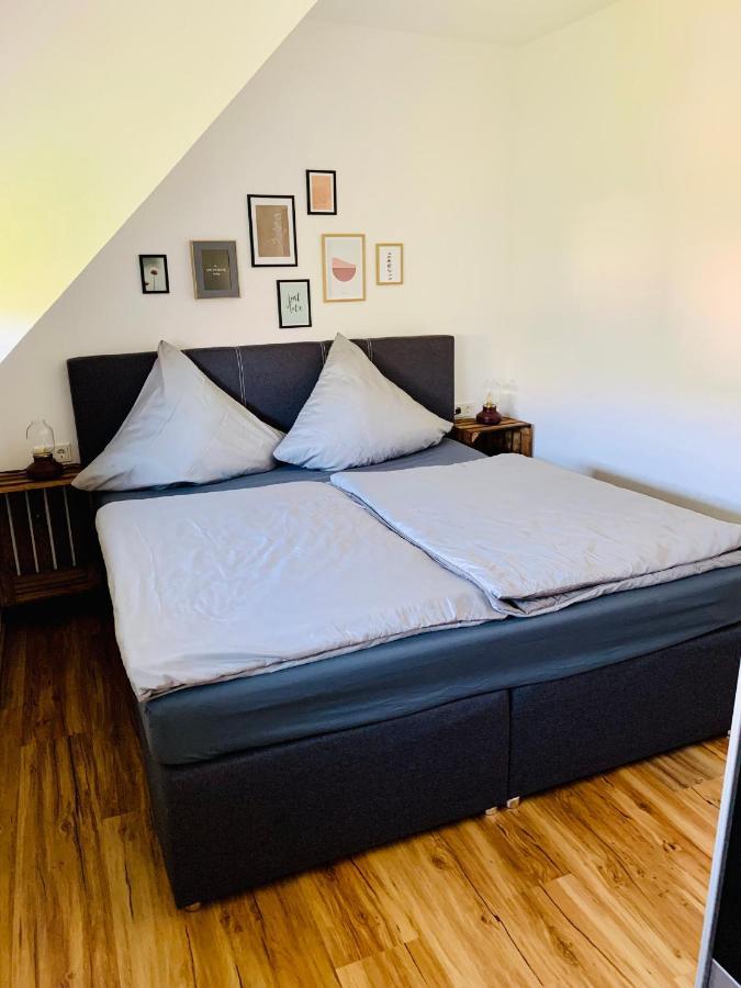Zur Rotbuche Apartman Zeltingen-Rachtig Kültér fotó
